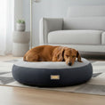 Load image into Gallery viewer, Cushion Dog Bed