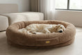 Load image into Gallery viewer, Human Dog Bed