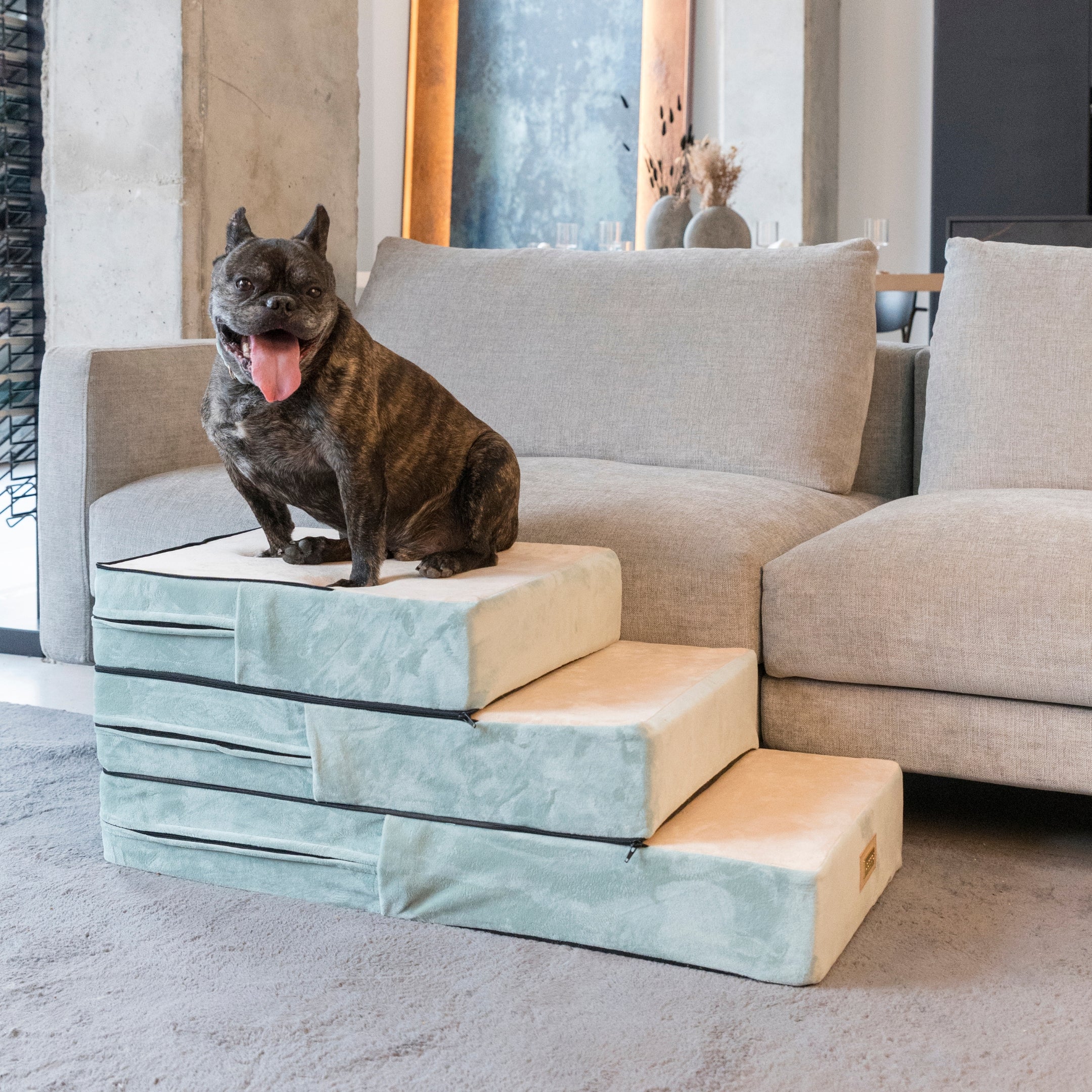 Dog Stairs