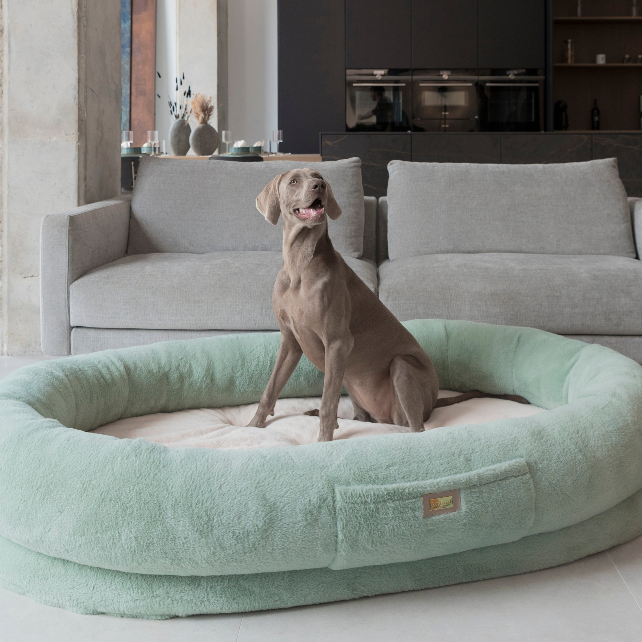 Human Dog Bed