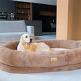 Load image into Gallery viewer, Human Dog Bed
