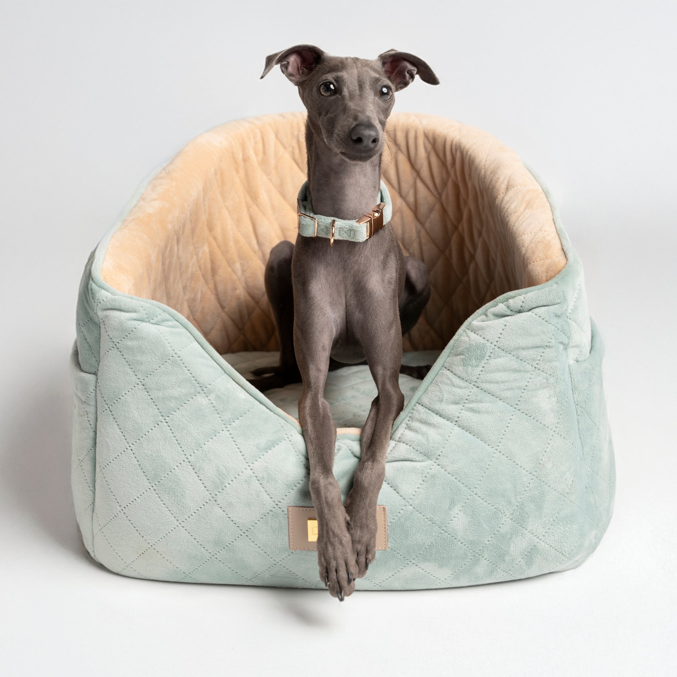 Dog Bed Car