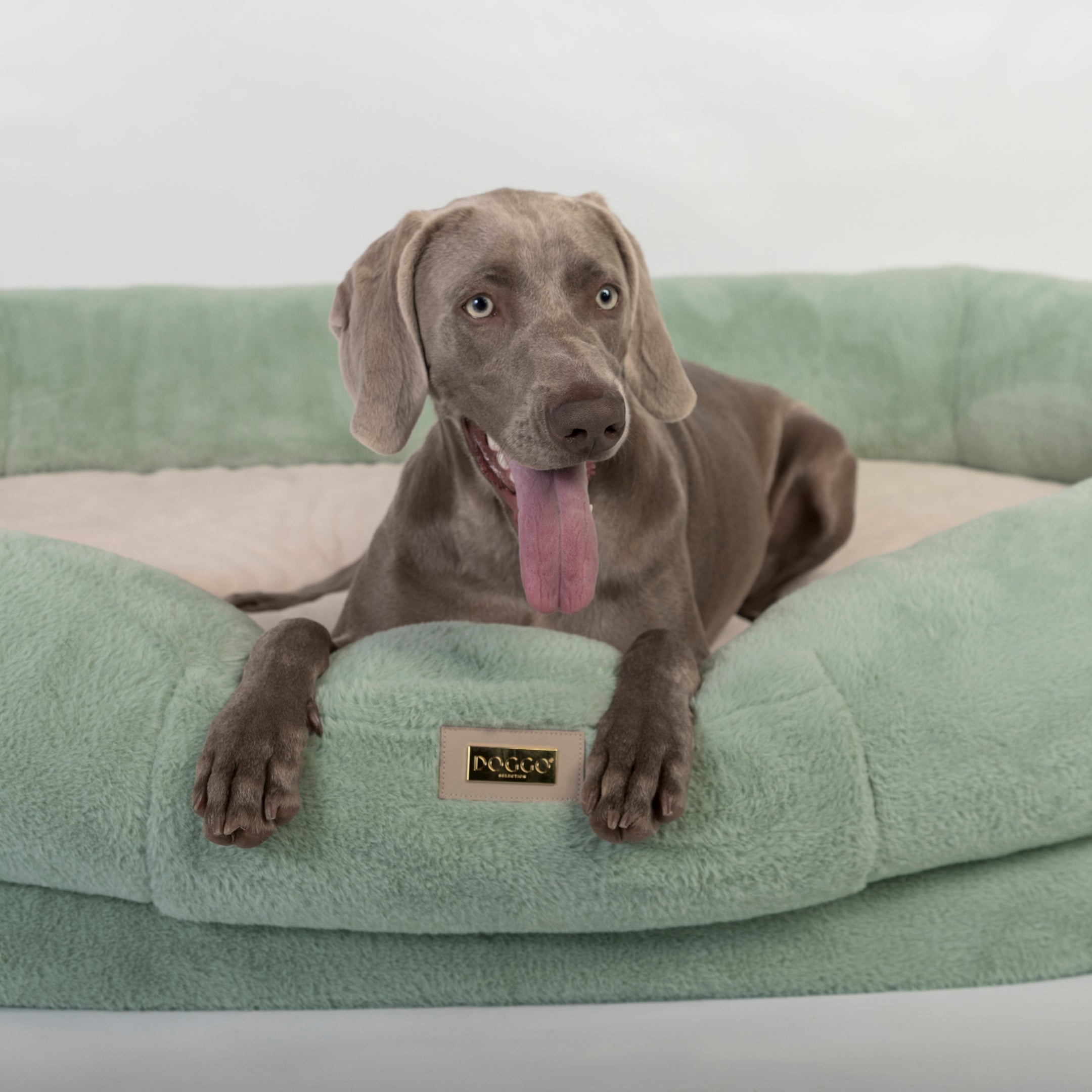 Human Dog Bed