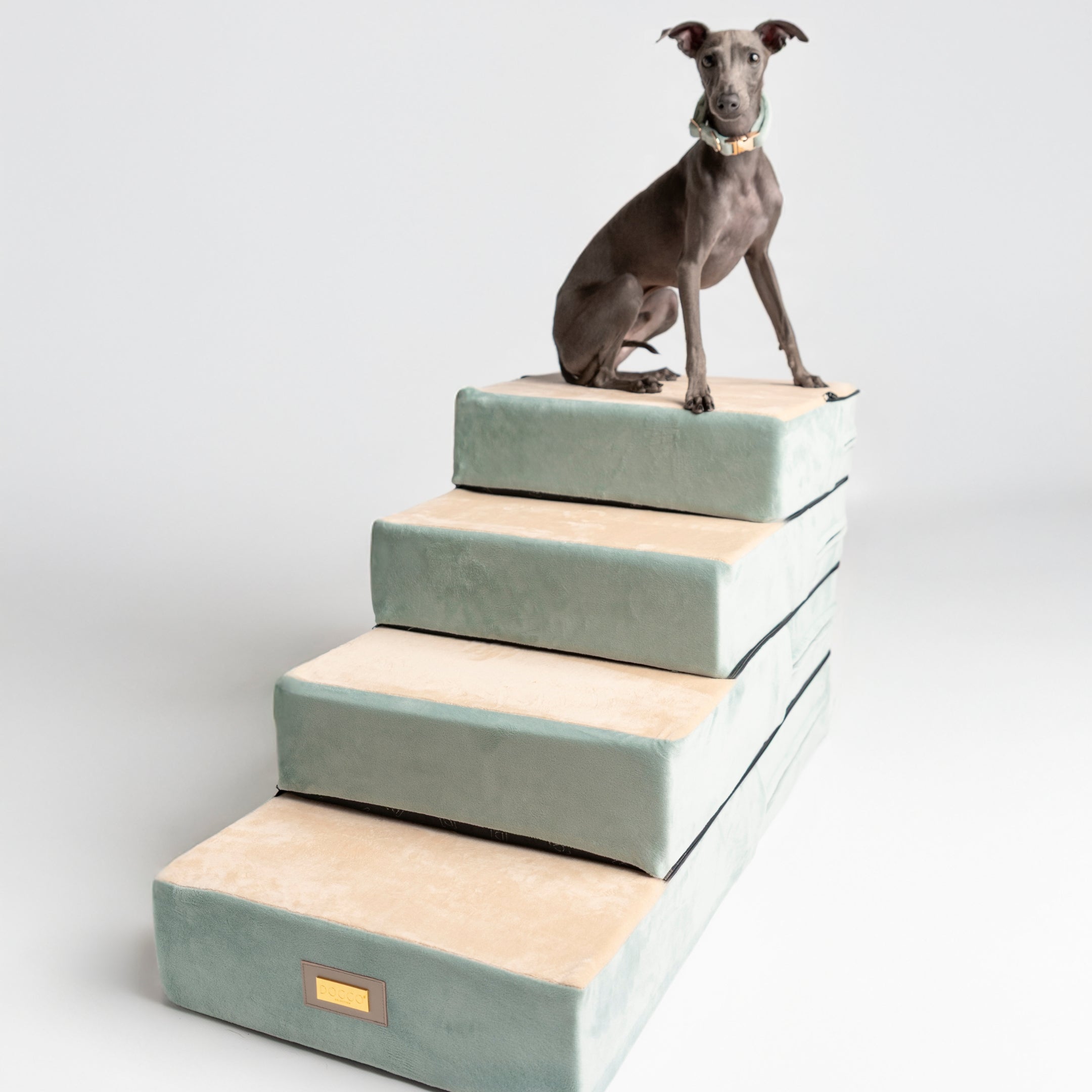 Dog Stairs