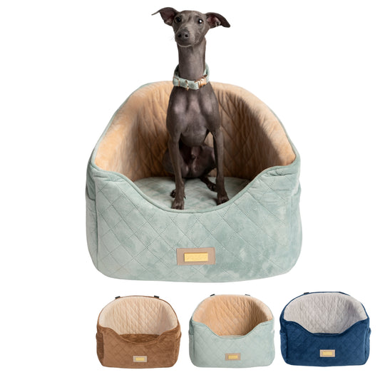 Dog Bed Car