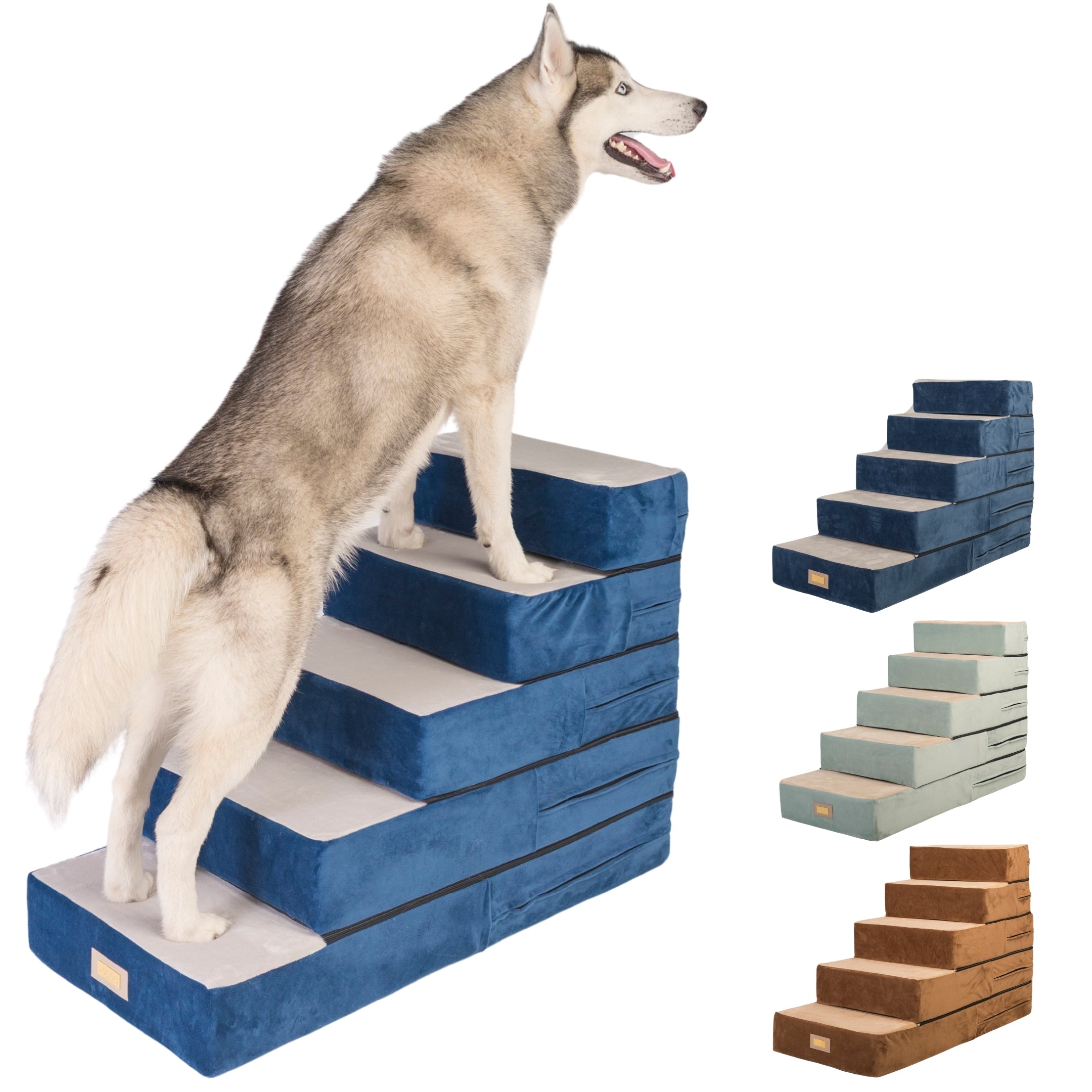 Dog Stairs
