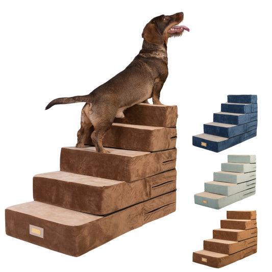 Dog Stairs