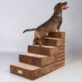 Load image into Gallery viewer, Dog Stairs
