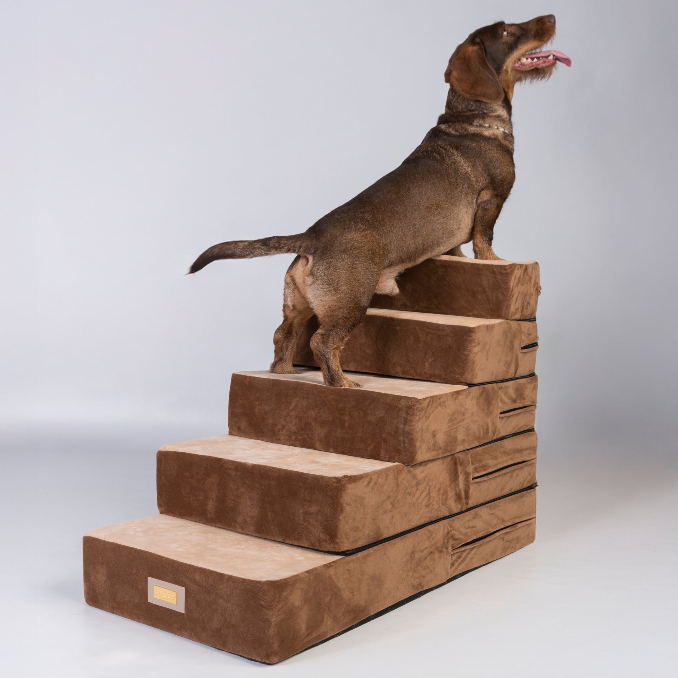 Dog Stairs
