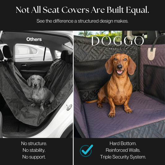 DOGGO Compact — Espresso Brown