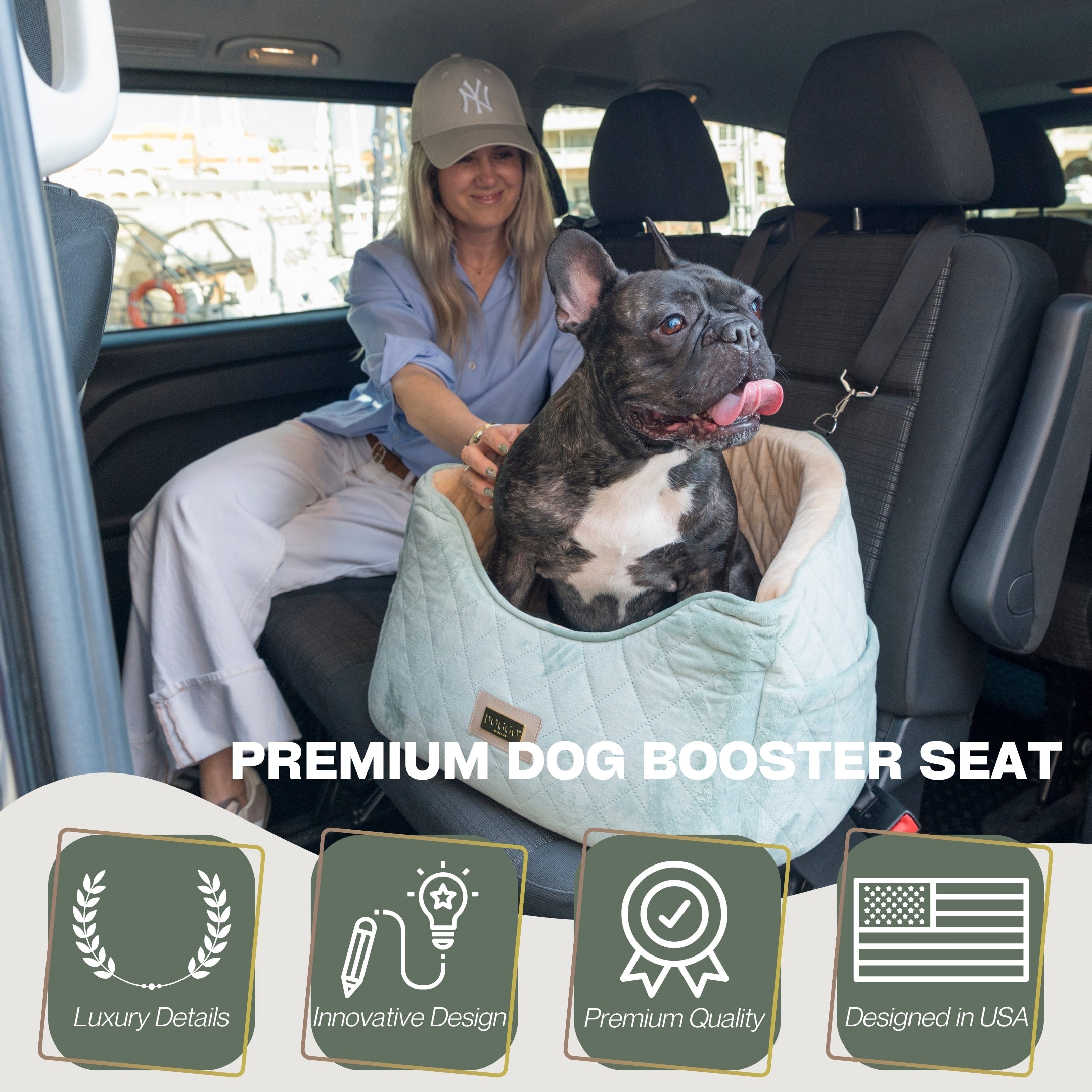 Dog Bed Car