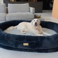 Load image into Gallery viewer, Human Dog Bed
