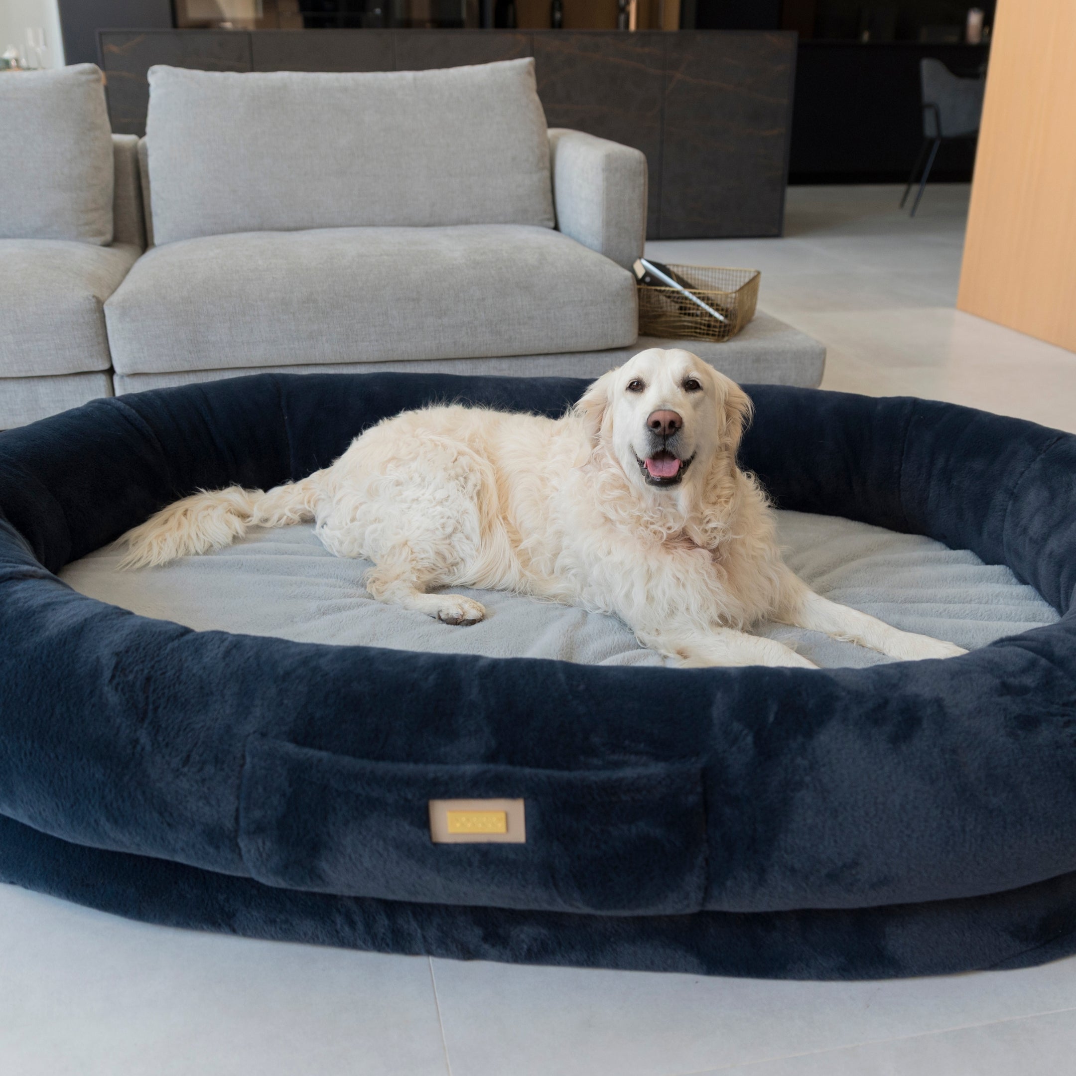 Human Dog Bed