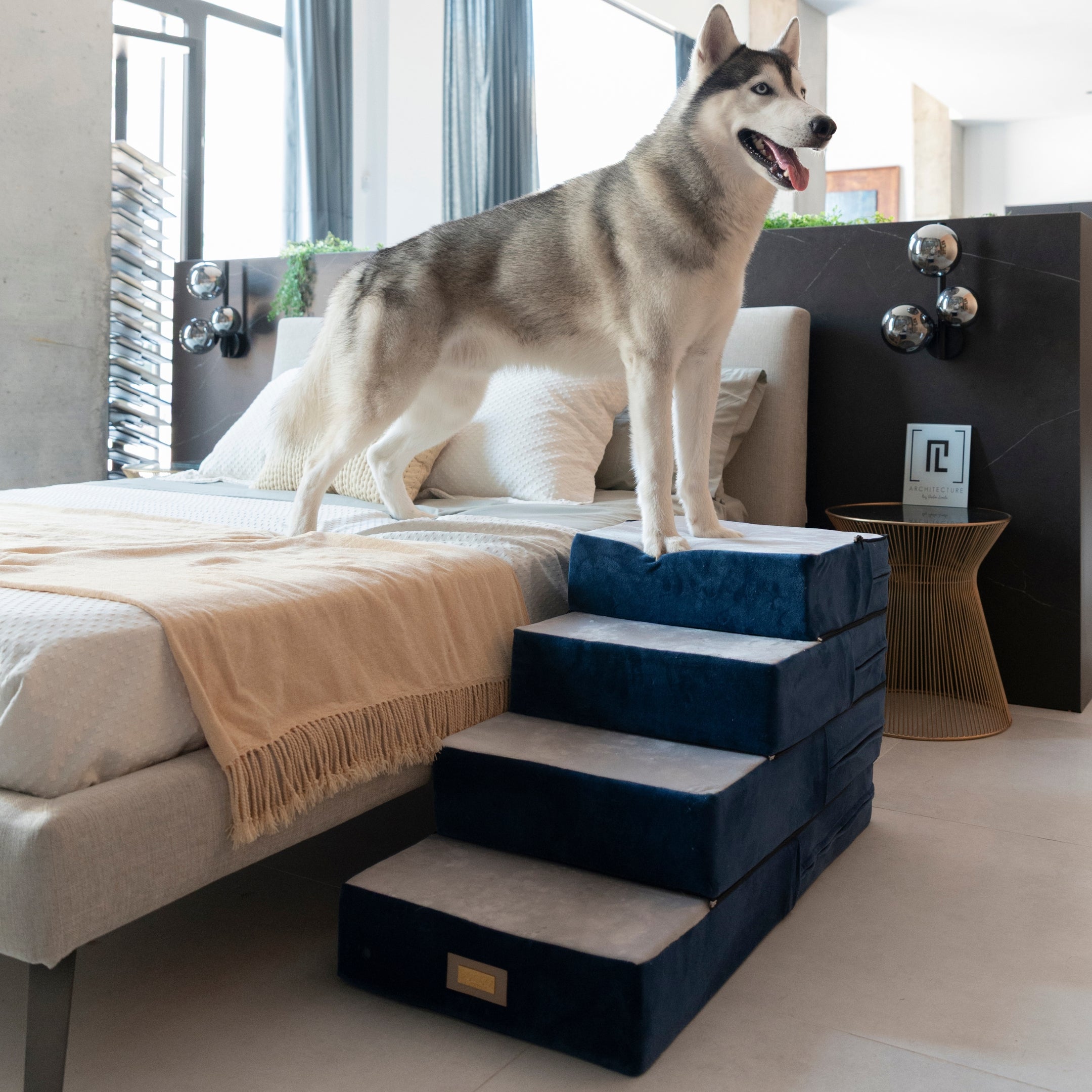 Dog Stairs