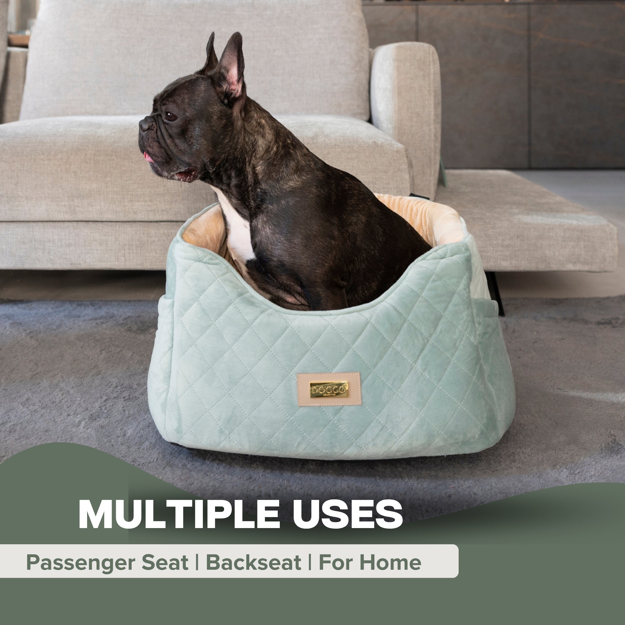 Dog Bed Car