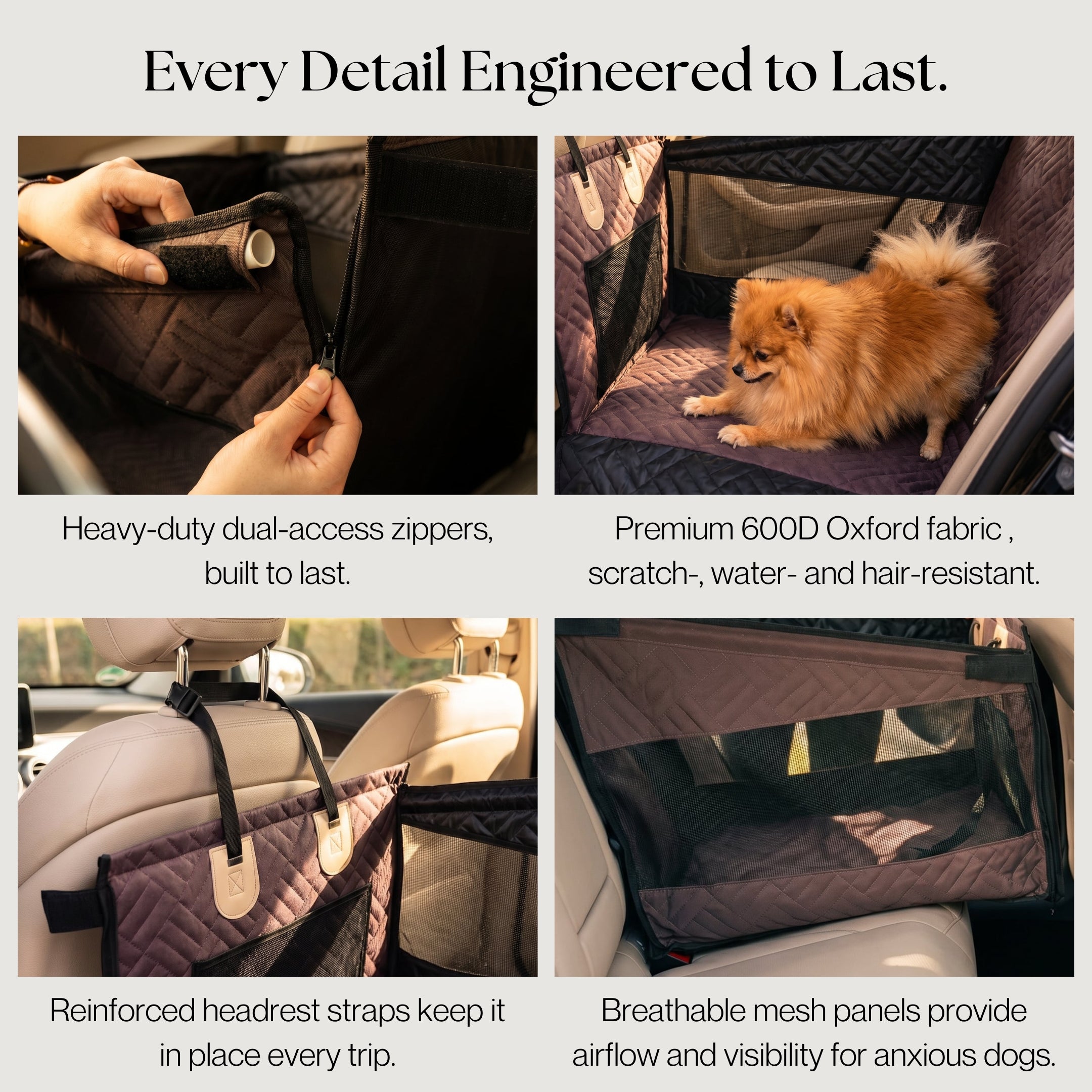 DOGGO Compact — Espresso Brown