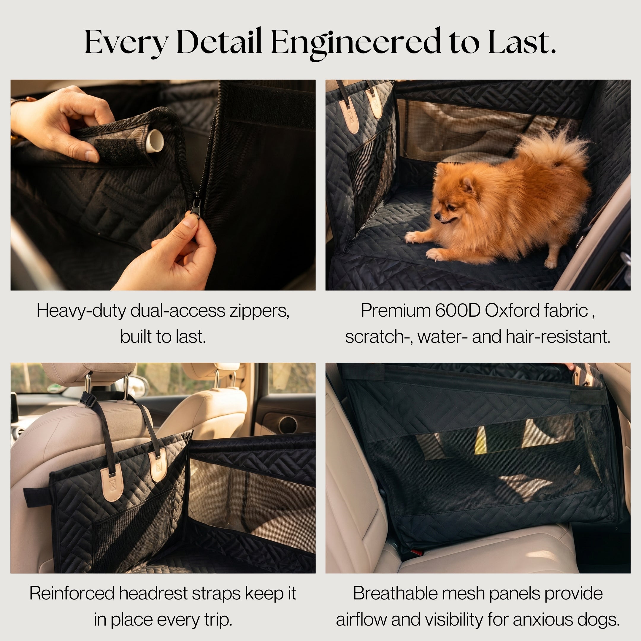 DOGGO Compact — Midnight Black