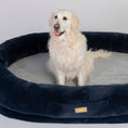 Load image into Gallery viewer, Human Dog Bed
