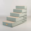 Dog Stairs